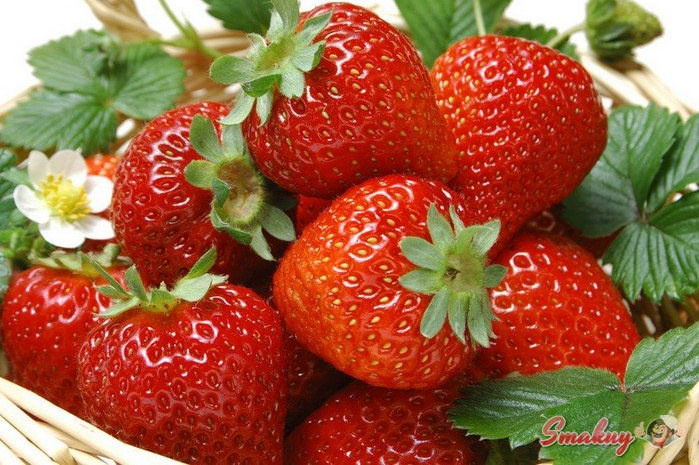 8 фактов о клубнике