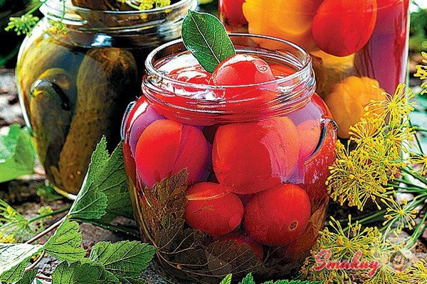Маринованные помидоры